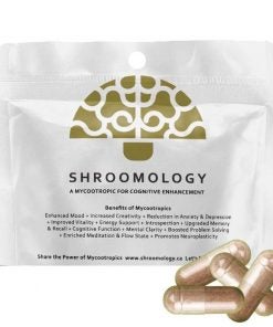 shroomology mushroom pills