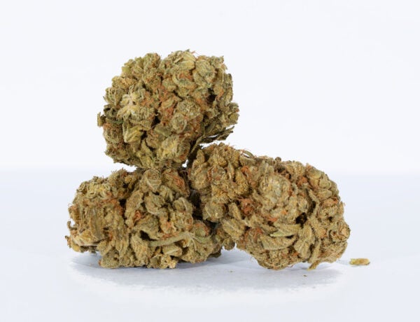 sour tangie weed strains